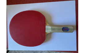 RAQUETTE OCCASION PEU SERVIE BOIS DAUPHIN ALLROUND